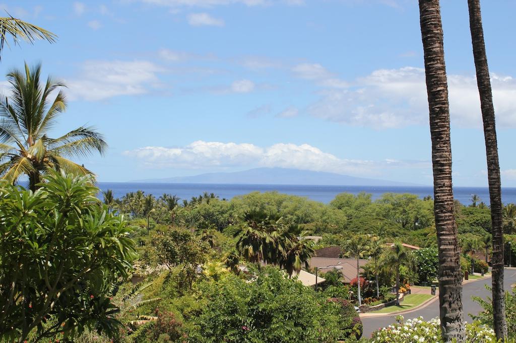 Hawaiian islands, Pacific Ocean and mature trees offer gorgeous views